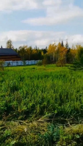 ДП Родной в Екатеринбурге - yutvil.ru