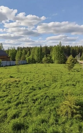 ДП Родной в Екатеринбурге - yutvil.ru - фото 4