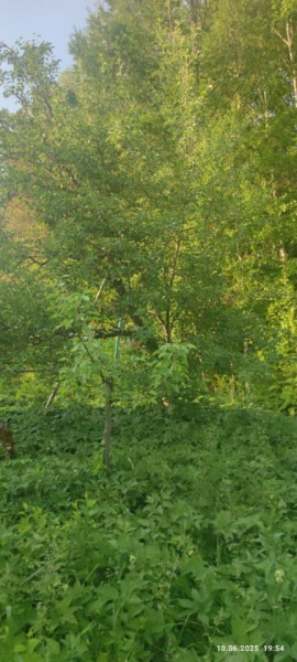 г Верхняя пышма, СНТ Мираж, уч.№ 99 в Екатеринбурге - yutvil.ru - фото 10