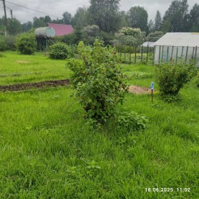г Верхняя пышма, СНТ Мираж, уч.№ 99 в Екатеринбурге - yutvil.ru - фото 11