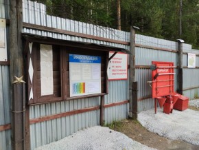 г.Верхняя Пышма СНТ №5 Березки в кв. 22 Среднеуральского Уралмашевского лесхоза в Екатеринбурге - yutvil.ru - фото 18