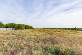 Российская Федерация, Свердловская область, Сысертский городской округ, территория садоводческого некоммерческого товарищества Бобровские дачи, улица Каштановая, земельный участок № 38 в Екатеринбурге - yutvil.ru - фото 16