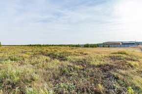 Российская Федерация, Свердловская область, Сысертский городской округ, территория садоводческого некоммерческого товарищества Бобровские дачи, улица Каштановая, земельный участок № 38 в Екатеринбурге - yutvil.ru - фото 24