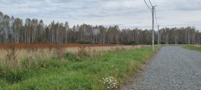 с. Новоалексеевское, КП Оникс, в Екатеринбурге - yutvil.ru - фото 2 с. Новоалексеевское, КП Оникс, в Екатеринбурге - yutvil.ru - фото 2