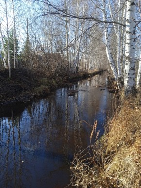 СНТ Берёзка в Екатеринбурге - yutvil.ru - фото 14