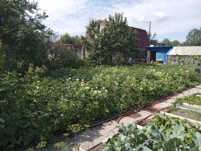 СНТ Медик-2 в Екатеринбурге - yutvil.ru - фото 6
