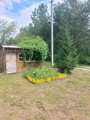 СНТ Родники в Екатеринбурге - yutvil.ru - фото 2