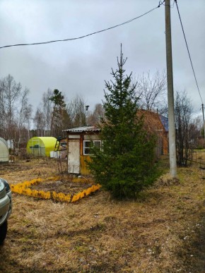 СНТ Родники в Екатеринбурге - yutvil.ru - фото 5