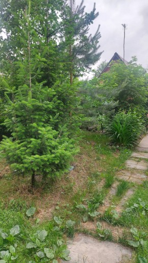 СНТ Садовод-24 в Екатеринбурге - yutvil.ru - фото 15