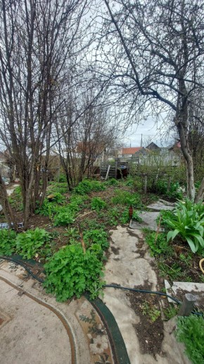 СНТ Сирень, уч. 38 в Екатеринбурге - yutvil.ru - фото 7