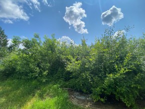 СПК Юбилейный, уч. 9 в Екатеринбурге - yutvil.ru - фото 9