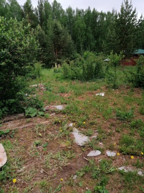 СТН Семья №112, Верхняя пышма на землях бывшего подсобного хозяйтва верхнепышминского опытного завода в Екатеринбурге - yutvil.ru - фото 17 СТН Семья №112, Верхняя пышма на землях бывшего подсобного хозяйтва верхнепышминского опытного завода в Екатеринбурге - yutvil.ru - фото 17
