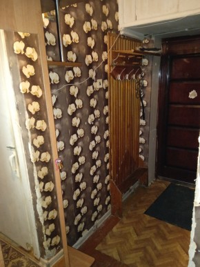 ул. Бажова,11 в Екатеринбурге - yutvil.ru - фото 9