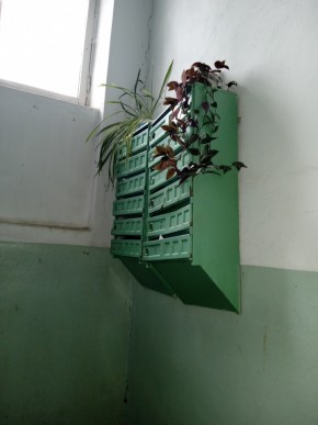 ул. Бажова,11 в Екатеринбурге - yutvil.ru - фото 3 ул. Бажова,11 в Екатеринбурге - yutvil.ru - фото 3