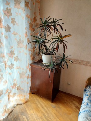 ул. Индустрии,29 в Екатеринбурге - yutvil.ru - фото 4 ул. Индустрии,29 в Екатеринбурге - yutvil.ru - фото 4