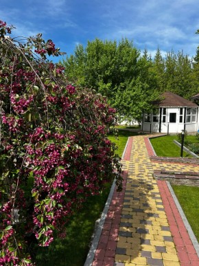 ул. Первомайская,220 в Екатеринбурге - yutvil.ru - фото 2