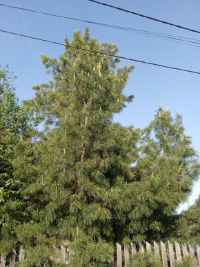ул. Полынная,29 в Екатеринбурге - yutvil.ru - фото 18 ул. Полынная,29 в Екатеринбурге - yutvil.ru - фото 18