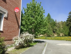 ул. Сосновая, 8 в Екатеринбурге - yutvil.ru - фото 25