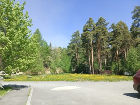 ул. Сосновая, 8 в Екатеринбурге - yutvil.ru - фото 26