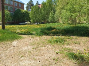 ул. Сосновая, 8 в Екатеринбурге - yutvil.ru - фото 33