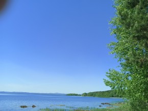 ул. Сосновая, 8 в Екатеринбурге - yutvil.ru - фото 34