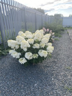 ул. Весенняя,12 в Екатеринбурге - yutvil.ru - фото 20