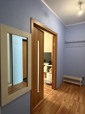 ул. Вильгельма де Геннина,47 в Екатеринбурге - yutvil.ru - фото 13