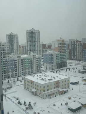 ул. Вильгельма де Геннина,47 в Екатеринбурге - yutvil.ru - фото 6