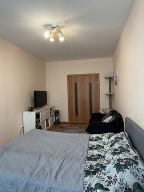 ул. Вильгельма де Геннина,47 в Екатеринбурге - yutvil.ru - фото 9